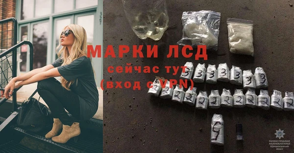 гидра Пересвет