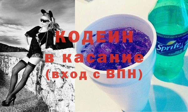 шишки Пестово