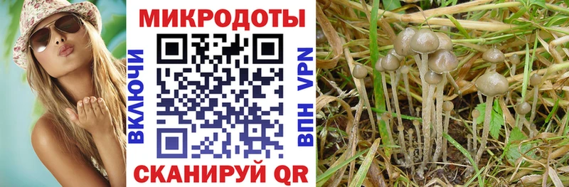 наркота  Курчатов  Псилоцибиновые грибы мухоморы 